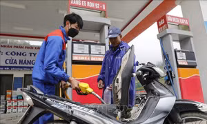 Giá vận tải chưa 'đồng hành' cùng giá xăng