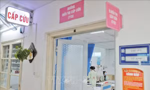 Tăng cường công tác kiểm dịch y tế, chủ động phòng, chống dịch bệnh