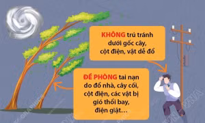 Các biện pháp phòng tránh khi bão đổ bộ