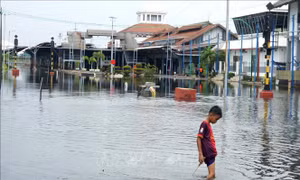 Indonesia khuyến cáo người dân đề phòng bão Man-yi