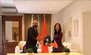 Việt Nam và San Marino thúc đẩy quan hệ hữu nghị