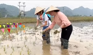Du lịch Ninh Bình hút khách nhờ đa dạng loại hình trải nghiệm