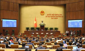 Nghị quyết giảm thuế thu nhập cá nhân, thuế thu nhập doanh nghiệp