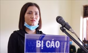 Xét xử đối tượng nhập cảnh trái phép qua biên giới