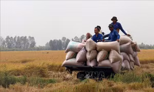 Diện mạo mới của Gò Quao khi đạt huyện nông thôn mới