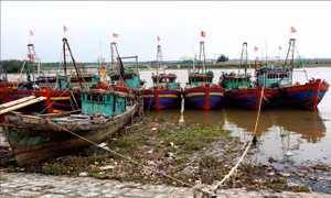 Thái Bình nghiêm cấm tàu, thuyền ra khơi từ sáng 3/7