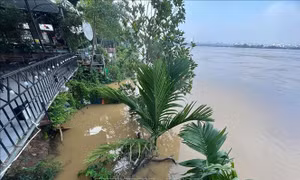 Nước sông Hồng lên mức báo động 1, nhiều sông vượt báo động 3