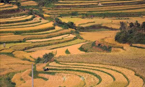 Du lịch Việt Nam bứt phá 'mùa vàng' cuối năm