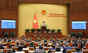 Gỡ 'điểm nghẽn' thể chế từ tư duy lập pháp: Giao quyền tự chủ trong hành lang Nhà nước pháp quyền