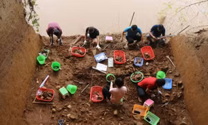 Khai quật khẩn cấp di chỉ Tuần Quán, Yên Bái: Nhiều giá trị văn hóa thời tiền sử