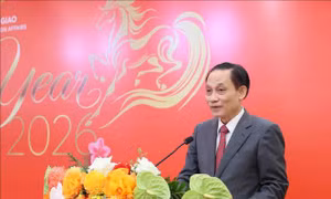 Đối ngoại Việt Nam tích cực góp phần thực hiện thắng lợi các mục tiêu chiến lược của đất nước