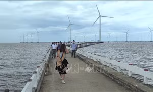 Du lịch Bạc Liêu phục hồi và tăng trưởng mạnh
