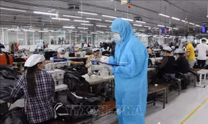 Nhiều doanh nghiệp được hỗ trợ liên quan đến chính sách BHXH