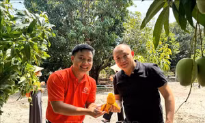 Du lịch Khánh Hòa trong không gian phát triển mới - Bài 2: Quà quê xây nên thương hiệu