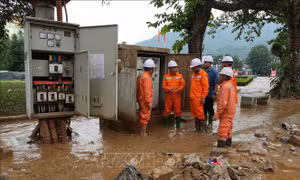 Điện lực miền Bắc khẩn trương khôi phục điện sau mưa lũ
