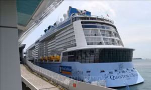 Phát hiện một ca mắc COVID-19 trên siêu du thuyền 5 sao Quantum of the Seas
