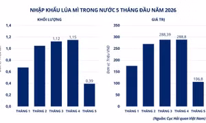 MXV-Index phục hồi, dòng tiền tìm đến lúa mì và bạc
