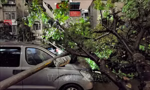 Bão số 3 đổ bộ vào Hà Nội, mưa lớn kèm gió giật mạnh