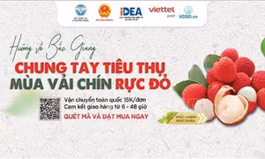Xúc tiến thương mại trực tuyến - Bài 2: 'Cánh tay phải của người khổng lồ'