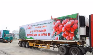 Xúc tiến thương mại trực tuyến - Bài 1: Mở 'luồng xanh' đưa hàng hóa Việt Nam ra thế giới