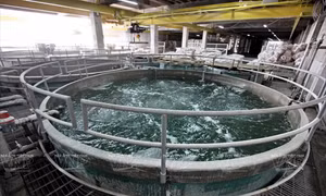 TP Hồ Chí Minh: Ngưng cấp nước nhiều khu vực vào cuối tuần