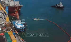 Khởi công nâng cấp luồng hàng hải vào các bến cảng Nam Nghi Sơn trong quý I