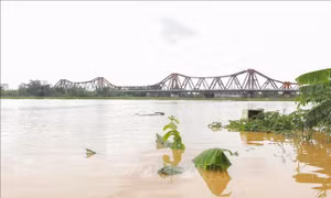 Hà Nội chủ động ứng phó nguy cơ lũ trên các tuyến sông