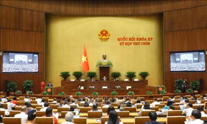 Tăng cường quản lý nhà nước về an toàn bức xạ, an toàn và an ninh hạt nhân