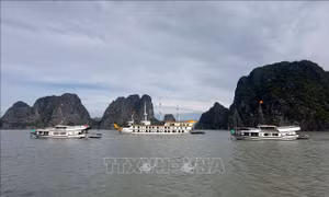 'Làm sạch' môi trường kinh doanh du lịch