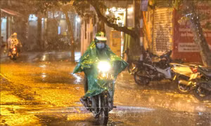 'Cơn mưa vàng' giải nhiệt cho Hà Nội