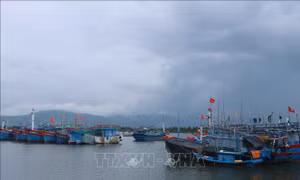 Chủ động ứng phó với vùng áp thấp