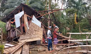 Philippines: Bão Conson làm ít nhất 3 người thiệt mạng, 31 người mất tích