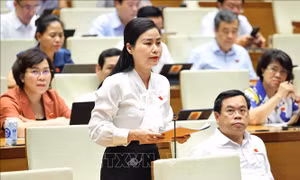Làm rõ hơn các quy định chế độ bảo hiểm với người lao động nghỉ thai sản, ốm đau