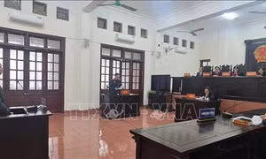 Vận chuyển trái phép chất ma túy, lĩnh án 18 năm tù