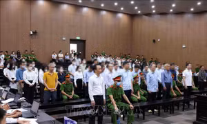 Xét xử vụ FLC: Các bị cáo nói lời sau cùng tại tòa