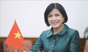 Việt Nam tham dự Cuộc họp cấp cao kỷ niệm 60 năm thành lập Phong trào Không liên kết