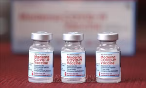 Bình Dương: Không có việc để vaccine hết hạn mà không tiêm cho người dân