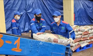 Làm rõ các vấn đề xung quanh áp thuế VAT với phân bón