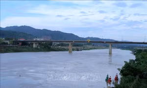 Lào Cai: Lũ đầu mùa trên sông Hồng lên cao