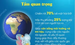 Tầm quan trọng và thực trạng của đại dương