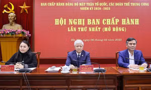 Hội nghị lần thứ nhất Ban Chấp hành Đảng bộ Mặt trận Tổ quốc, các đoàn thể Trung ương