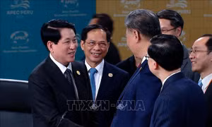 APEC 2024: Chủ tịch nước Lương Cường gặp lãnh đạo các nền kinh tế