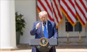 Hiệu ứng chống Tổng thống Trump - Xu hướng mới trong các cuộc bầu cử toàn cầu