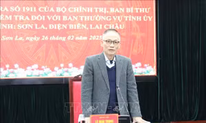 Triển khai Quyết định kiểm tra đối với Ban Thường vụ Tỉnh ủy Sơn La, Điện Biên, Lai Châu
