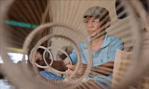 Làng Bao La mang cây tre Việt ra thế giới
