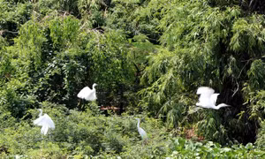 Các điểm du lịch sinh thái, tâm linh thu hút du khách