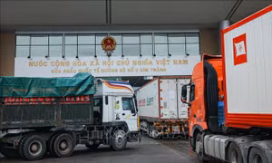 7 tháng thu ngân sách từ xuất nhập khẩu tăng gần 19%
