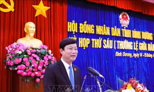 Bình Dương: Yêu cầu thanh tra, xử lý dứt điểm các dự án bất động sản phát sinh khiếu kiện