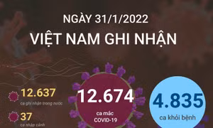 Tình hình COVID-19 ngày 31/1: Số ca nhiễm mới tiếp tục giảm