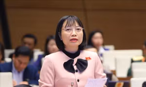 Khắc phục hạn chế trong quản lý vốn vay viện trợ không hoàn lại